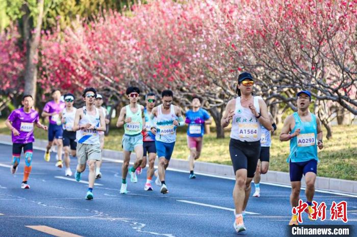 五千跑友汇聚海淀马拉松系列，畅跑三山五园感